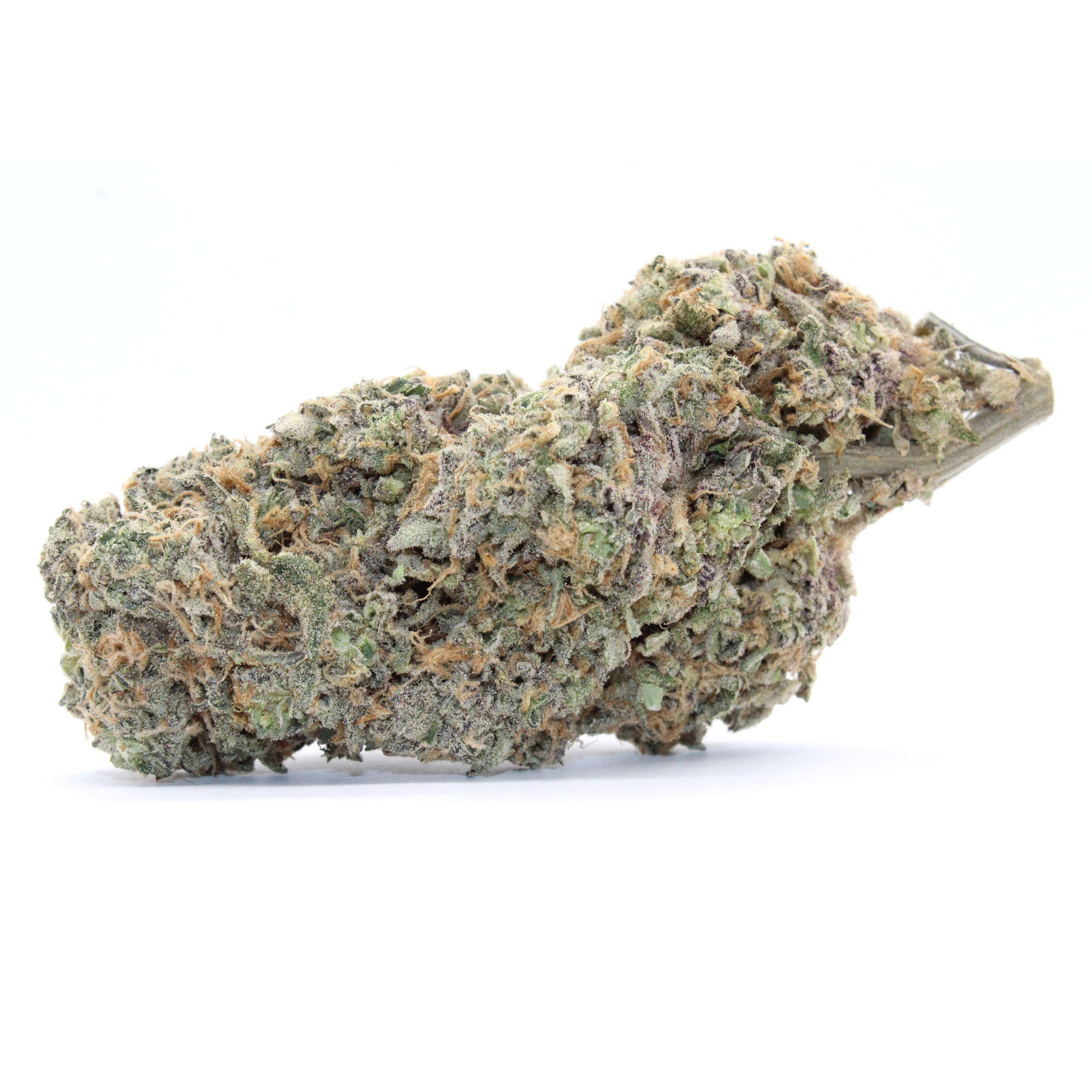 Hash Plant Flower (Contains Seeds) 2 Hash Plant Flower (Contains Seeds) - Image 2