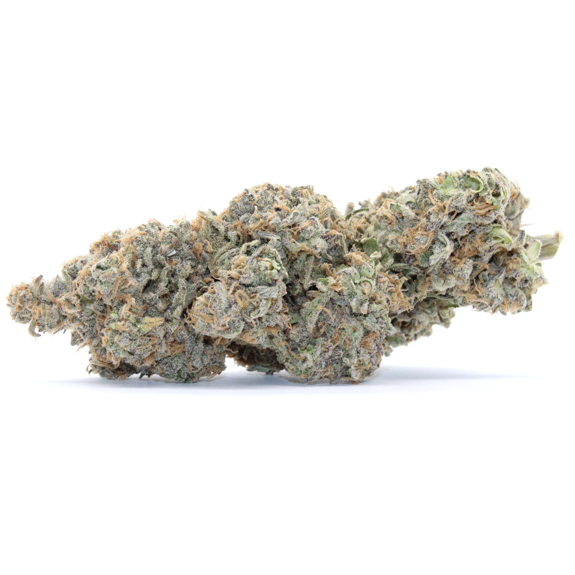 Hash Plant Flower (Contains Seeds) 1 Hash Plant Flower (Contains Seeds)