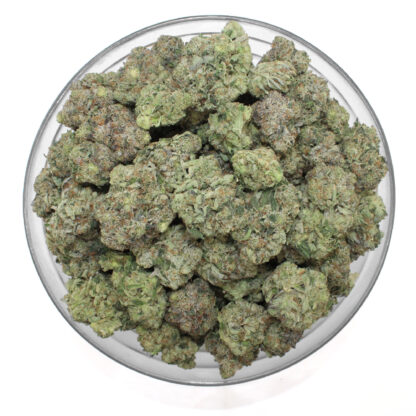 Platinum Pink Flower (Gas) - Image 3