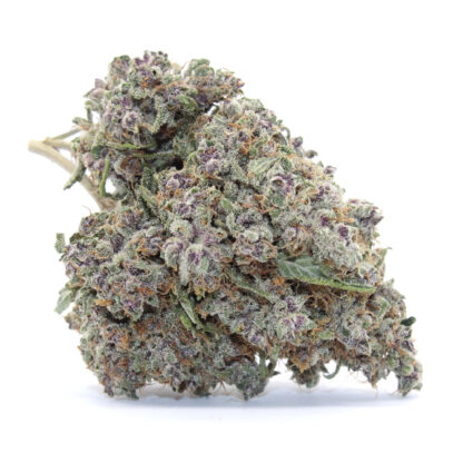 Cherry Gelato Flower