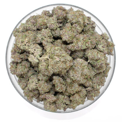 Cherry Gelato Flower - Image 3