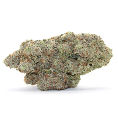 Lamborghini Nug