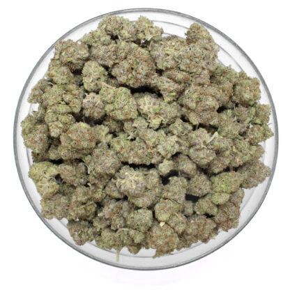 Trainwreck Flower - Image 3