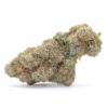 Blueberry Mouth Flower - Image 2
