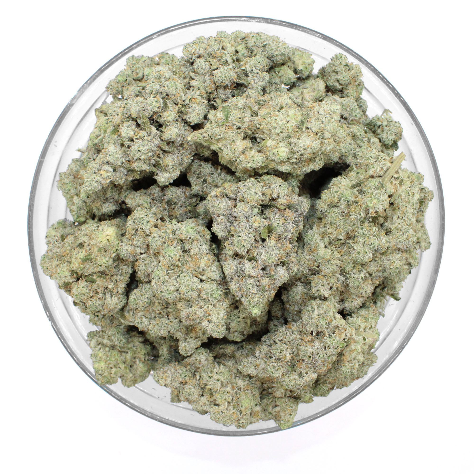 Frosted Gelato Flower 3 Frosted Gelato Flower - Image 3