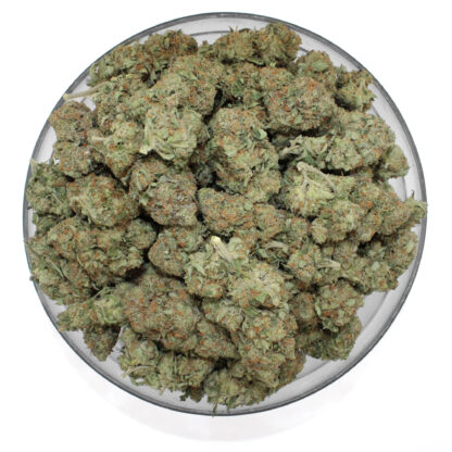 Original Bubba Flower (Gas) - Image 3