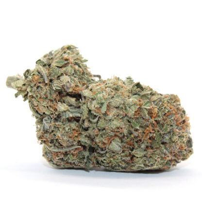 Platinum Tuna Flower (gas) - Image 2