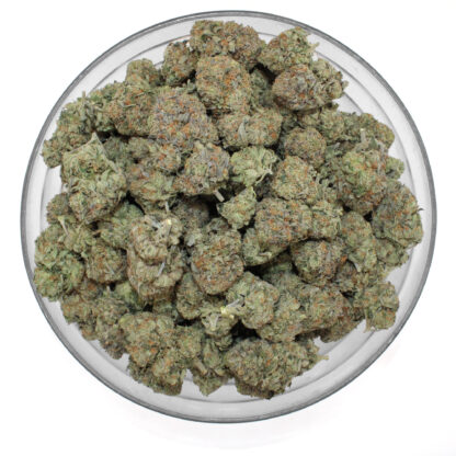 Platinum Tuna Flower (gas) - Image 3