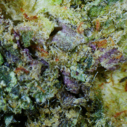 MK Ultra Flower (Gas) - Image 4