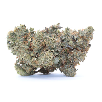 Pink (Gas) Flower