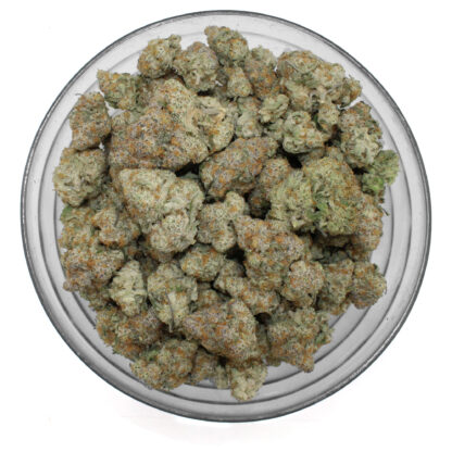 Blue Gushers Flower - Image 3
