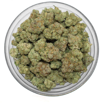 Super Glue Flower - Image 3