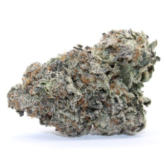 Afghani Urkle Flower