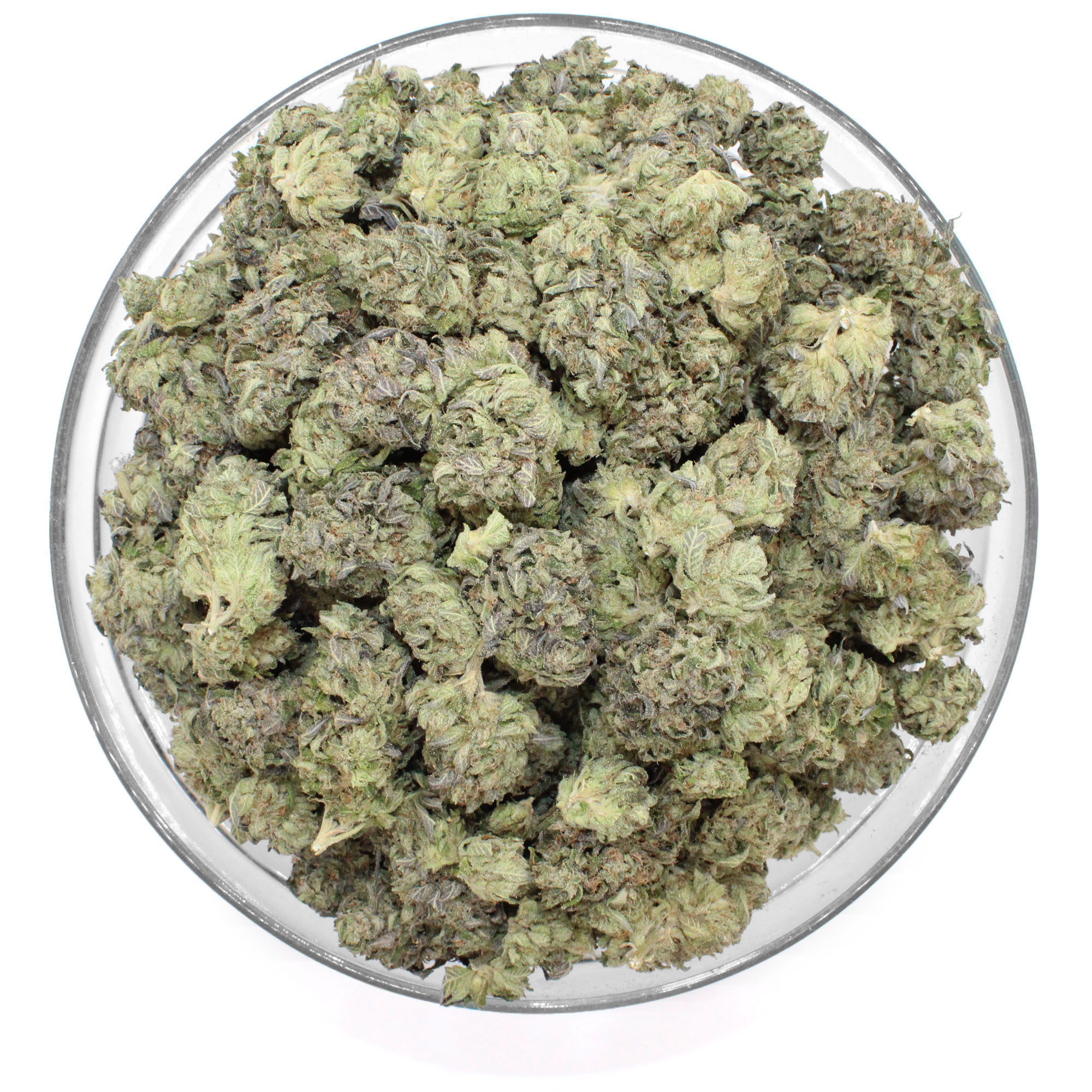 Black Tuna Flower (Tops) 3 Black Tuna Flower (Tops) - Image 3