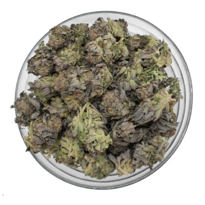 Black Tuna Flower - Image 3