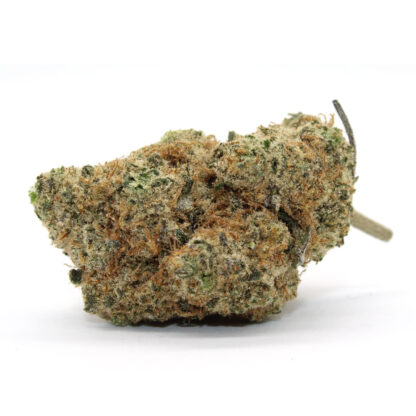 Funkmaster Flower - Image 2