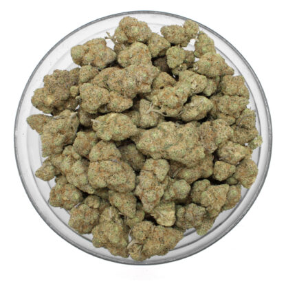 Funkmaster Flower - Image 3