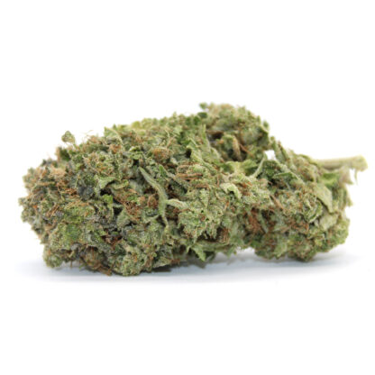 Gaz Money Flower - Image 2