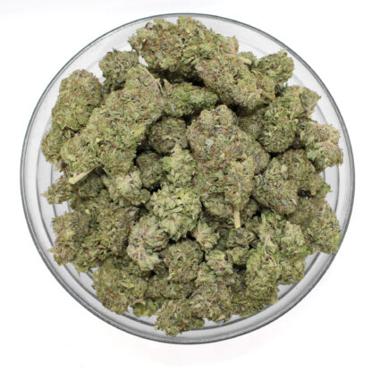 Gaz Money Flower - Image 3