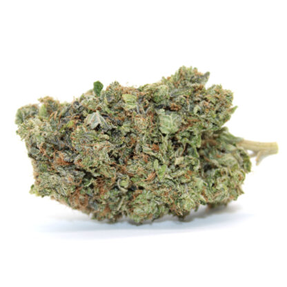 Gaz Money Flower