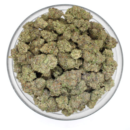 Kings Kush Flower - Image 3