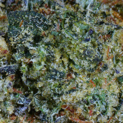 Organic Blue Dream Flower - Image 4