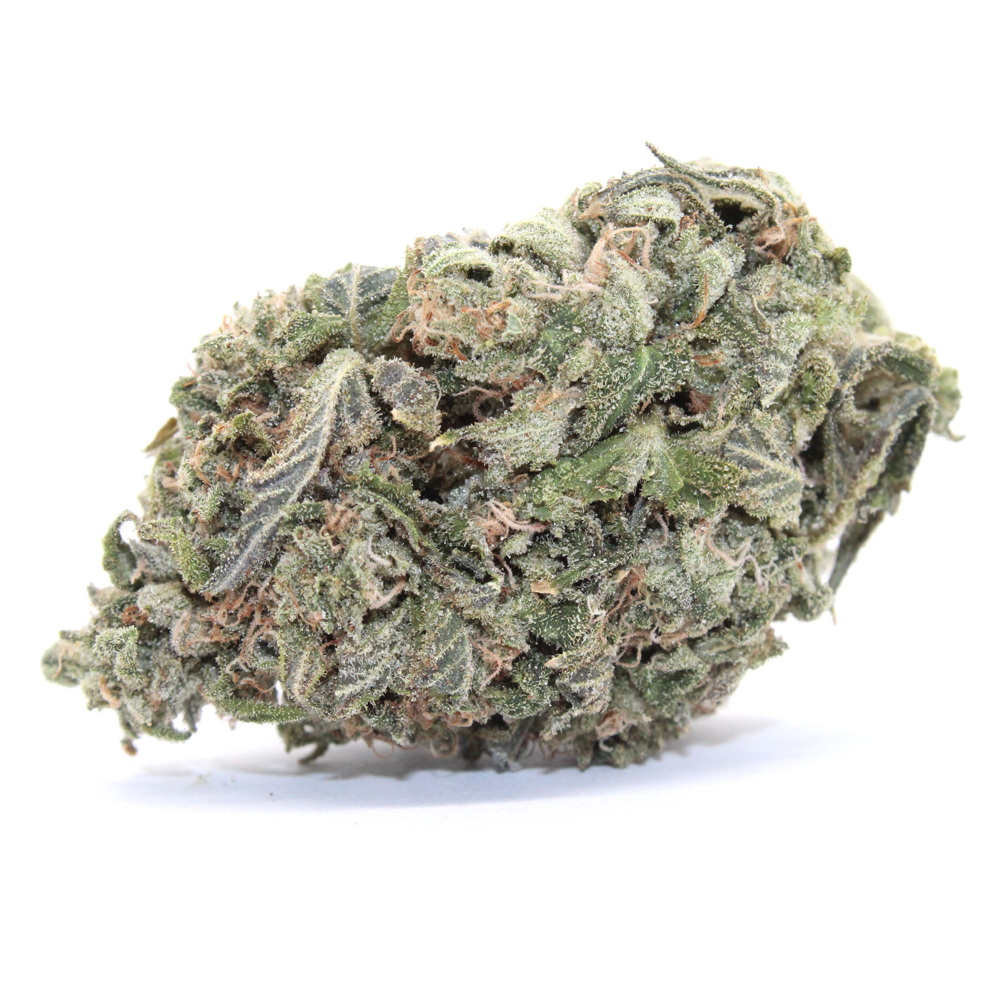 Black Tuna Flower (Tops) 2 Black Tuna Flower (Tops) - Image 2