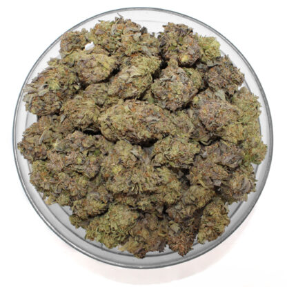 Sherbcake Flower - Image 3