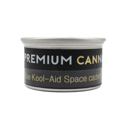 Space Cadets- Blue Kool-Aid - Image 4