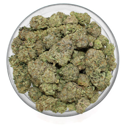 Tuna Flower (Gas) - Image 3