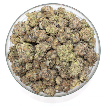 Zunderdog Flower - Image 3