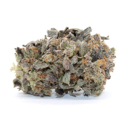 Zunderdog Flower - Image 2