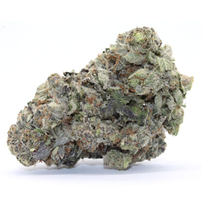 Betty Ford Flower (gas) - Image 2