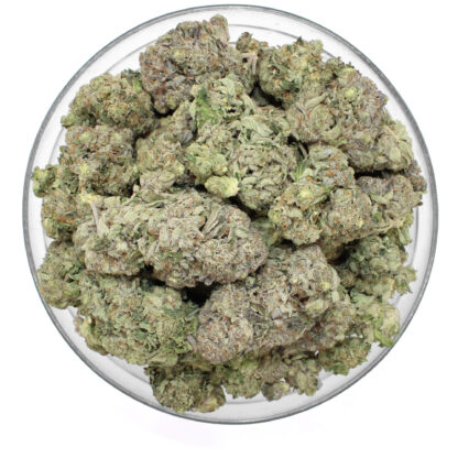 Betty Ford Flower (gas) - Image 3