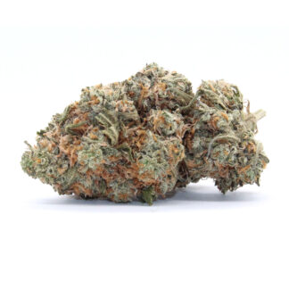 Chocolate Skunk Flower