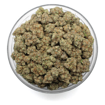 Chocolate Skunk Flower - Image 3