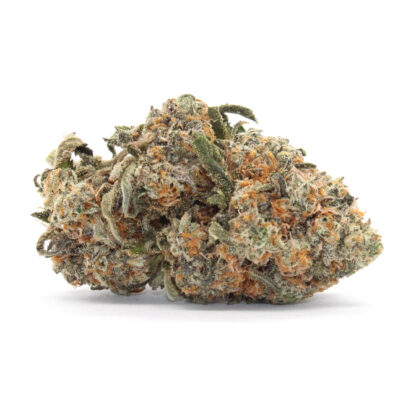 Chocolate Skunk Flower - Image 2