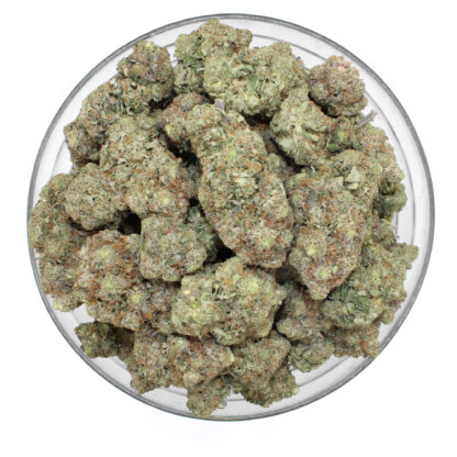 Coconut Horchata Flower (gas) - Image 3