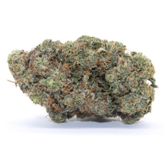 Coconut Horchata Flower (gas)