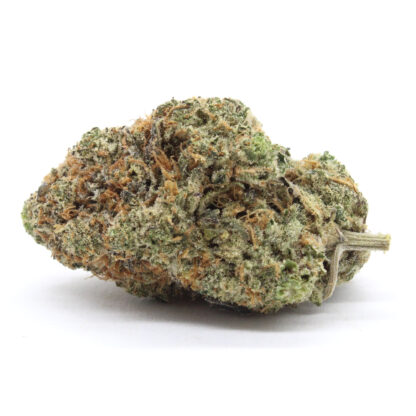 Electric Black Mamba Flower - Image 2