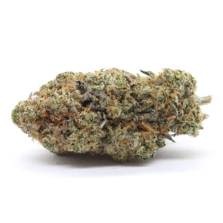 Electric Black Mamba Flower