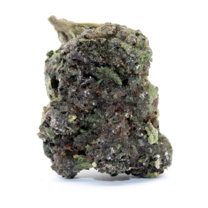 Space Cadets - Hawaiian Hammer - Image 2