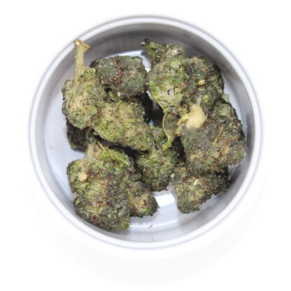 Space Cadets - Hawaiian Hammer - Image 3