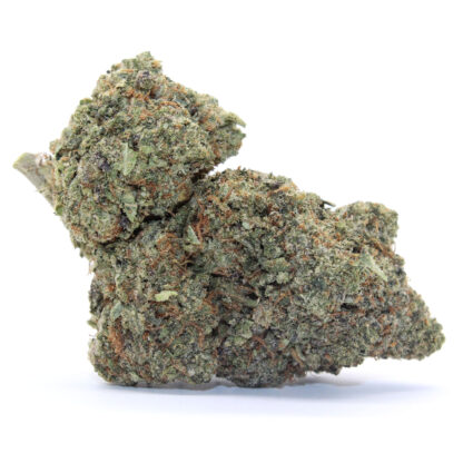 Honey Bun Flower - Image 2
