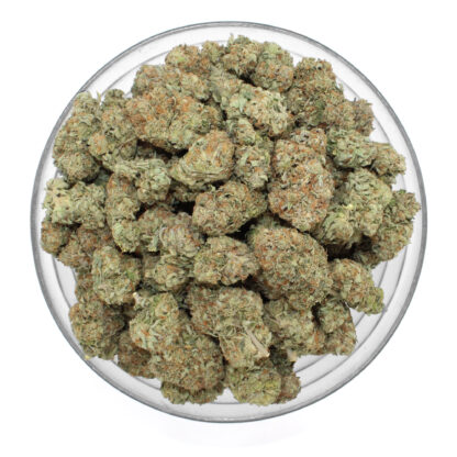 Jet Fuel Pie Flower - Image 3