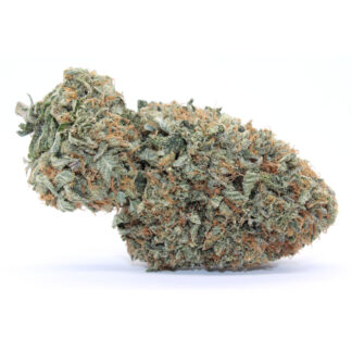 Jet Fuel Pie Flower