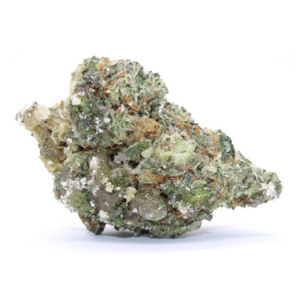 Space Cadets - Jurrasic Nugs - Image 2