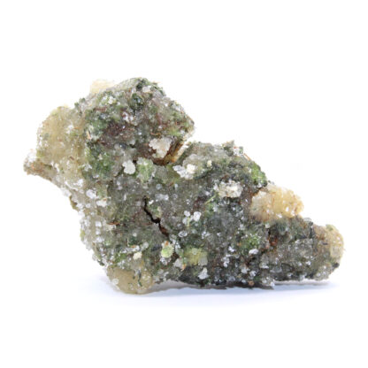 Space Cadets - Jurrasic Nugs