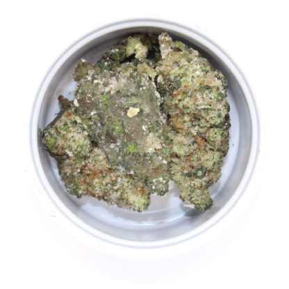 Space Cadets - Jurrasic Nugs - Image 3