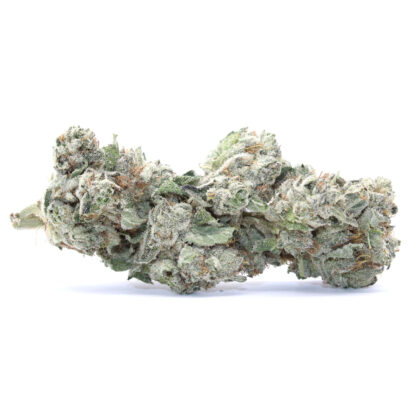 Lemon Cherry Gelato Flower